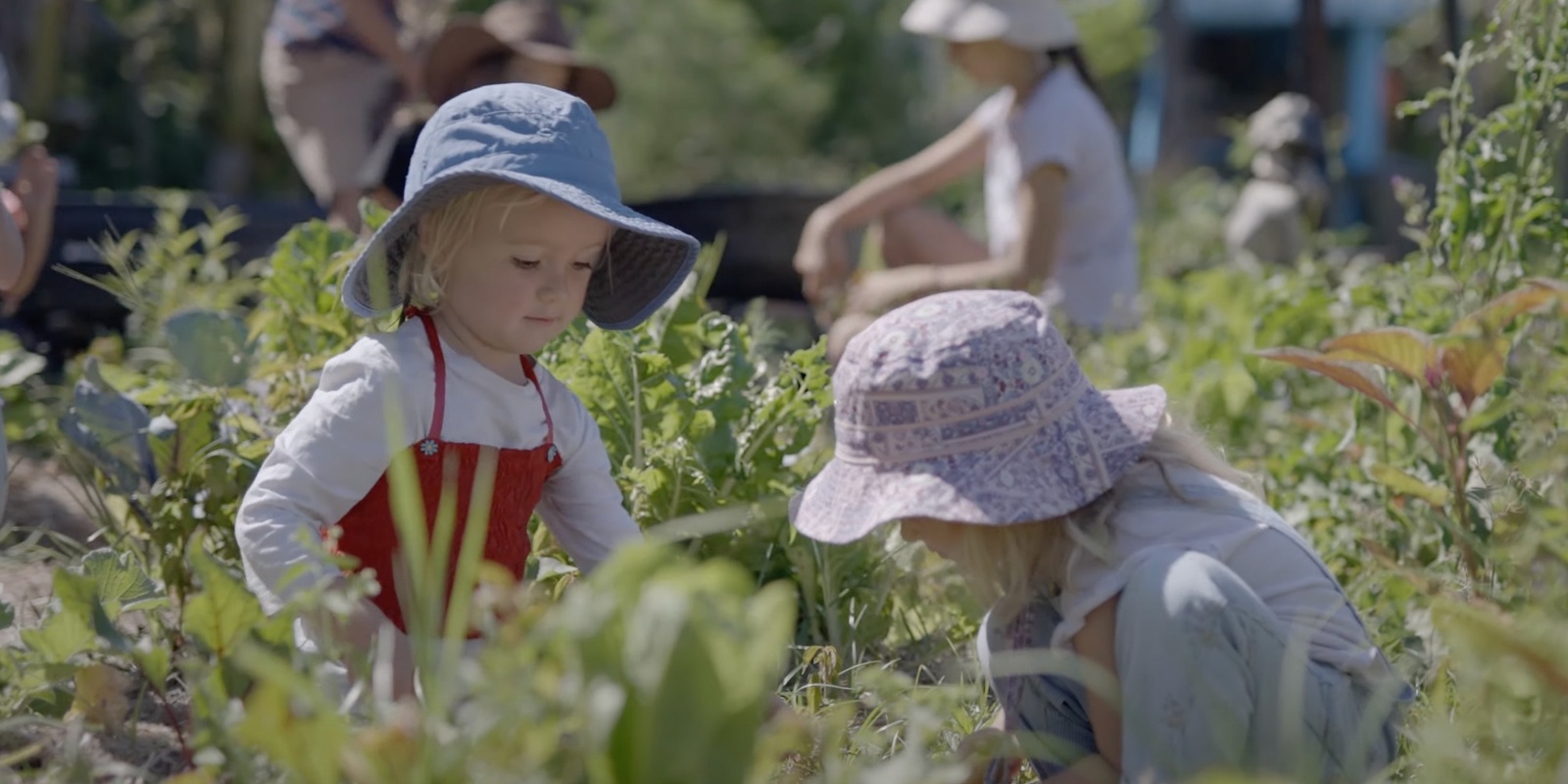 Banner image for Mother Earth Educators