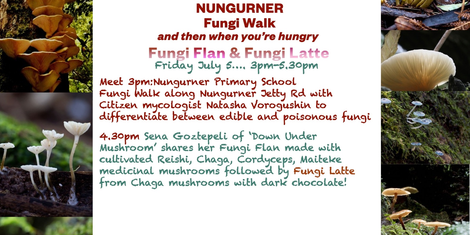 Banner image for Fungi Walk, Fungi Flan & Fungi Latte