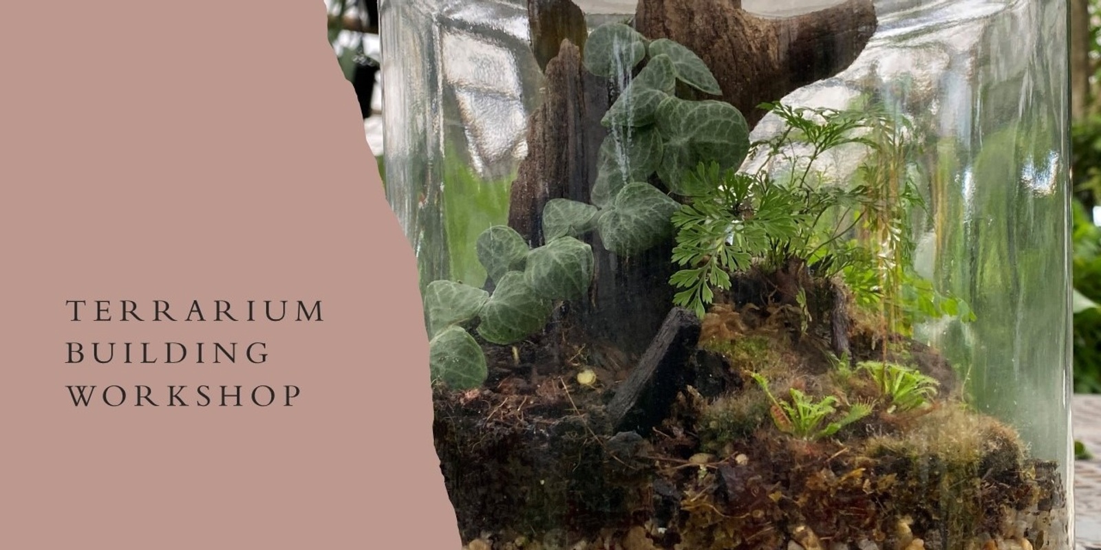 Banner image for Terrarium Making Workshop