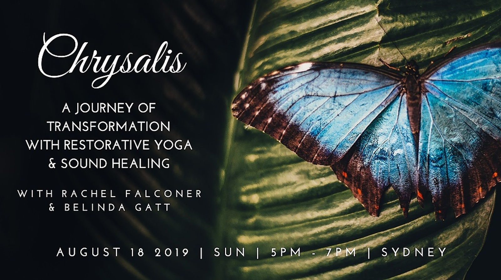 Banner image for Chrysalis: A Journey of Transformation with Restorative Yoga & Sound Healing