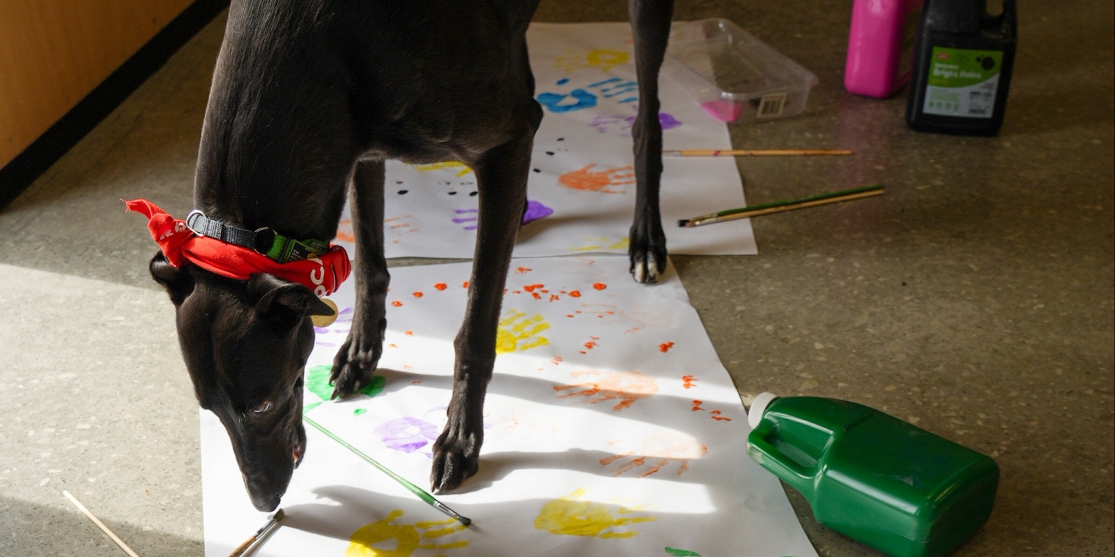 Banner image for Intergenerational Paint Your Pet