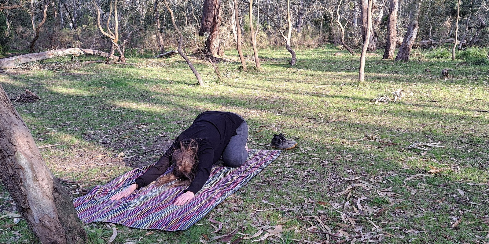 Banner image for 2 hour Forest Therapy and Yoga with Carolyn