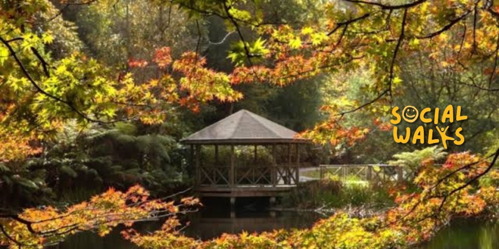 Banner image for Melbourne Social Walks - Dandenong Ranges Highlights ft. National Rhododendron Gardens, Olinda and Burkes Lookout - Easy 6km