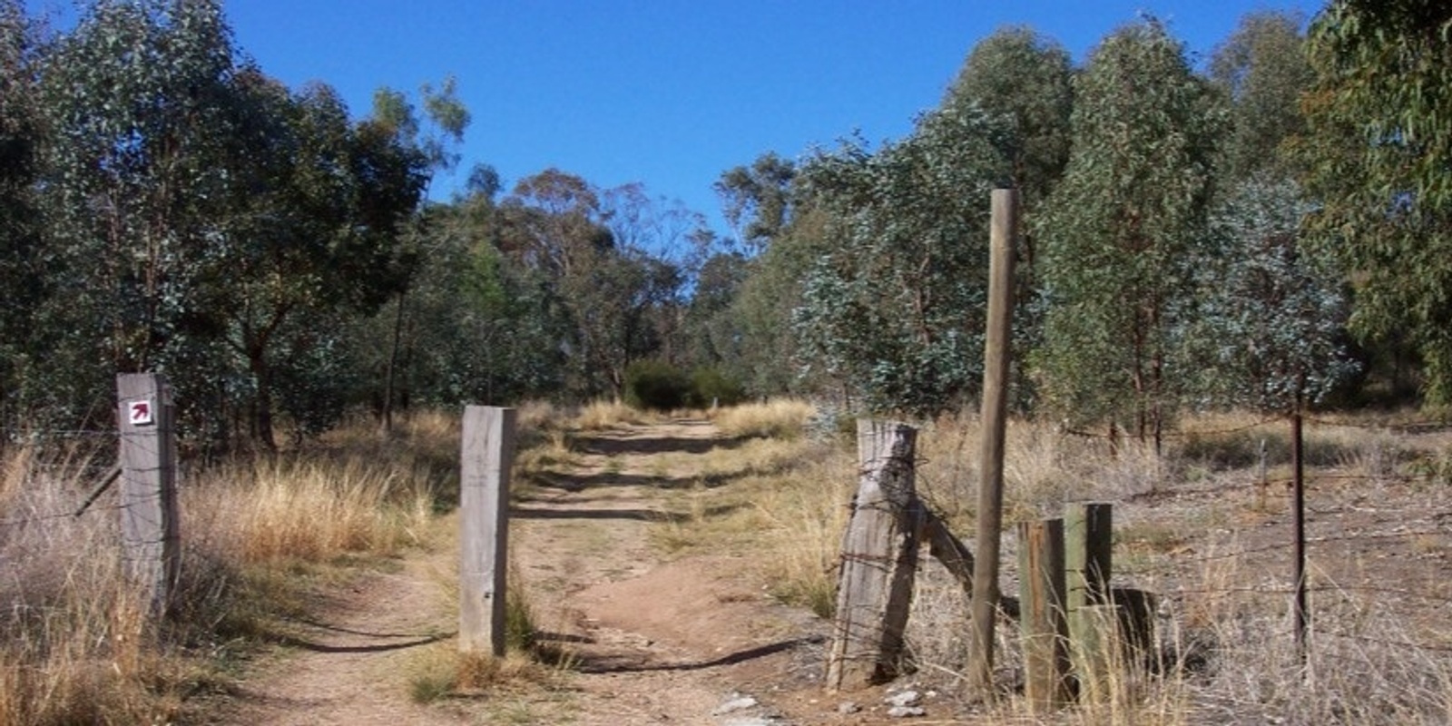 Banner image for Corrys Wood Parkland Community Stewardship Morning