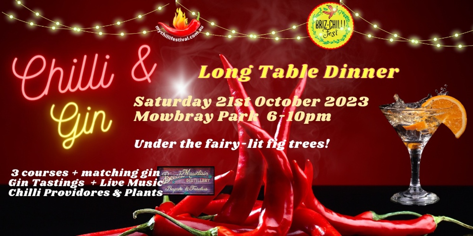 Chilli and Gin Long Table Dinner in Mowbray Park 