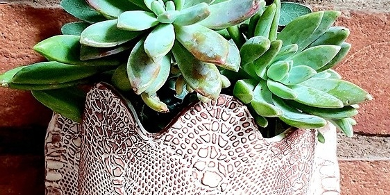 Banner image for Make a Clay Pocket Wall Planter