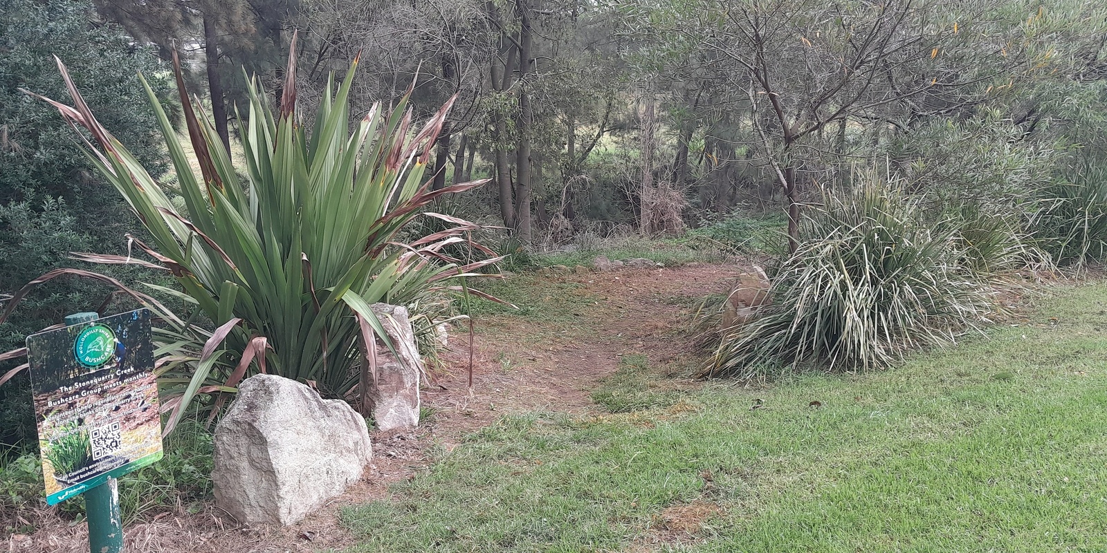 Banner image for Bushcare Stonequarry Creek, Picton - June