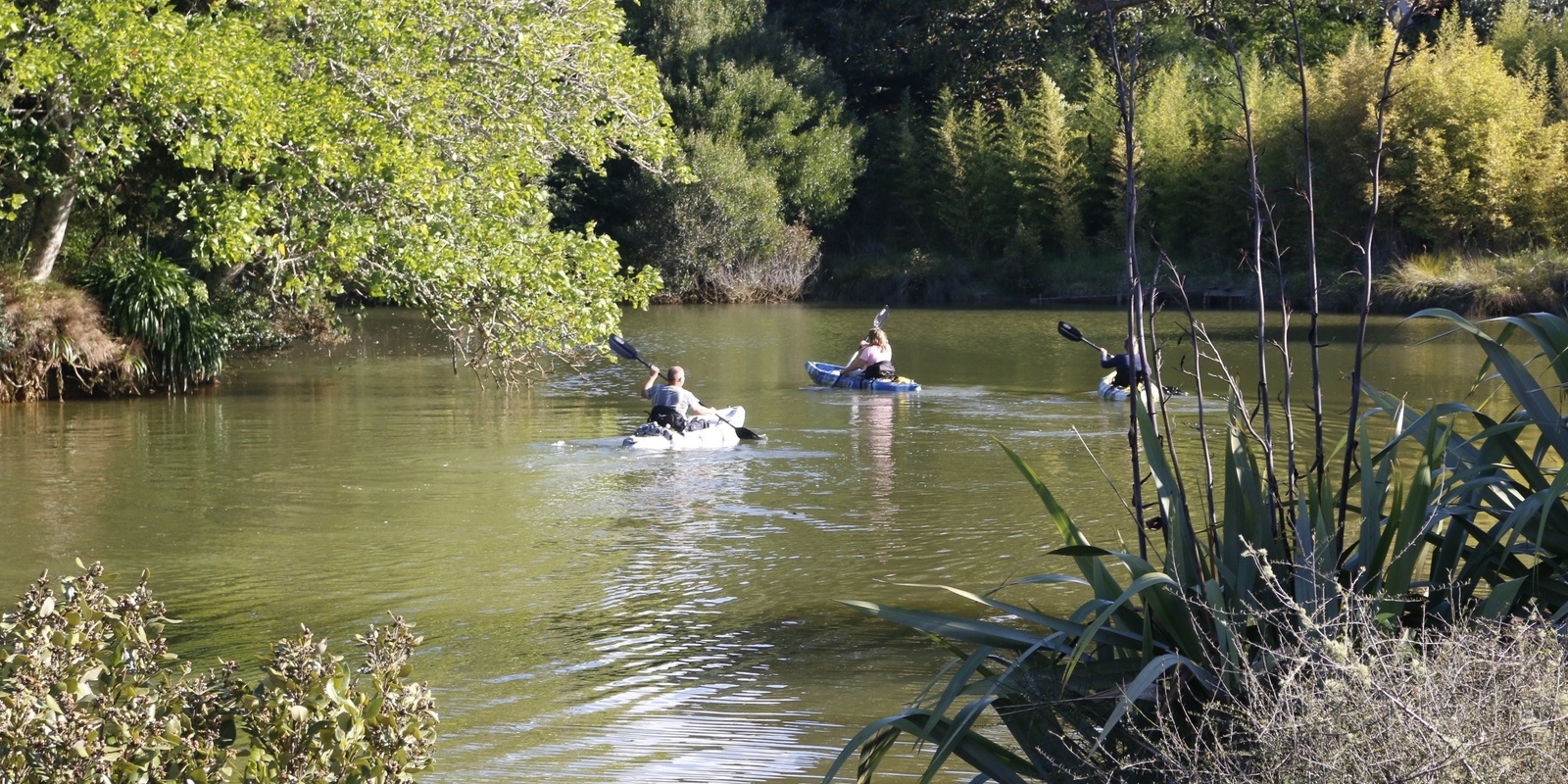 Banner image for Explore Matakana River for World Rivers Day