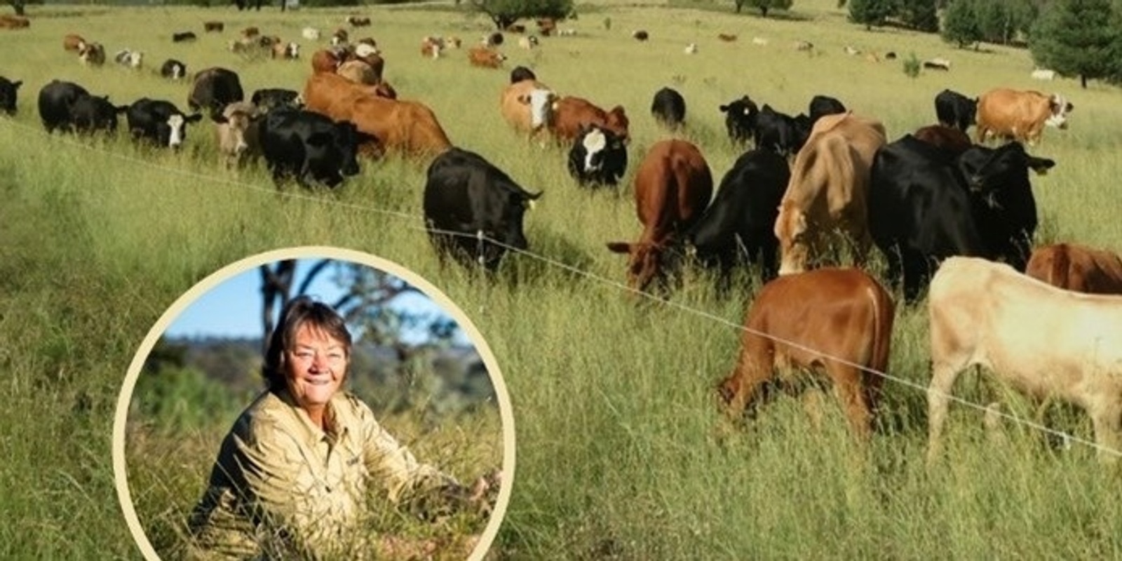 Banner image for An afternoon with Dr Judi Earl - Manage Grazing to Restore Soil Health, Ecosystem Function & Climate Resilience