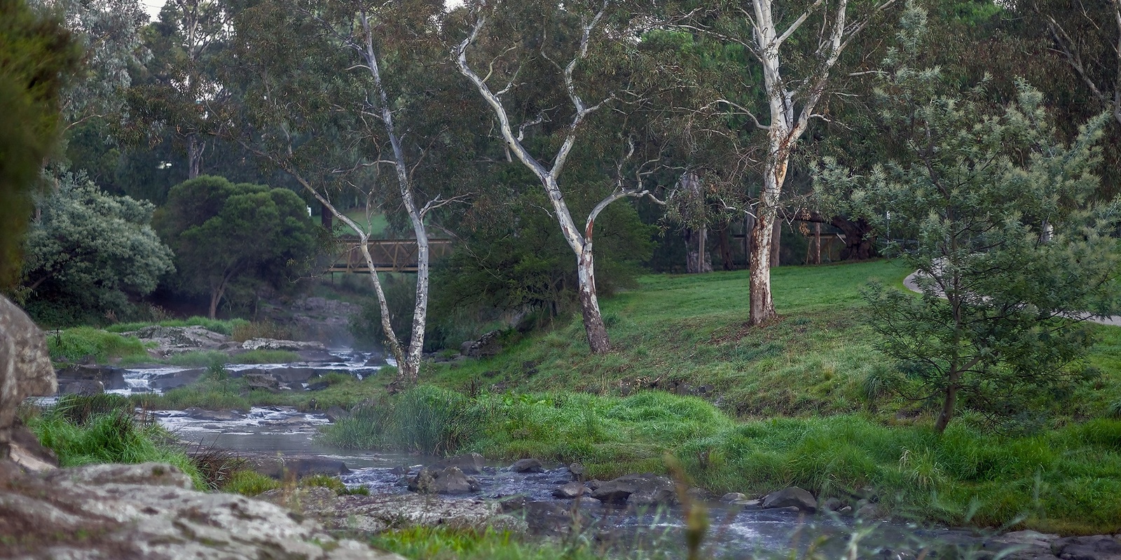 Banner image for ASC social: Picnic by the creek