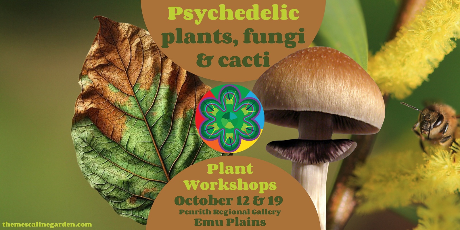 Banner image for Psychedelic trees, fungi and cacti workshops, Emu Plains