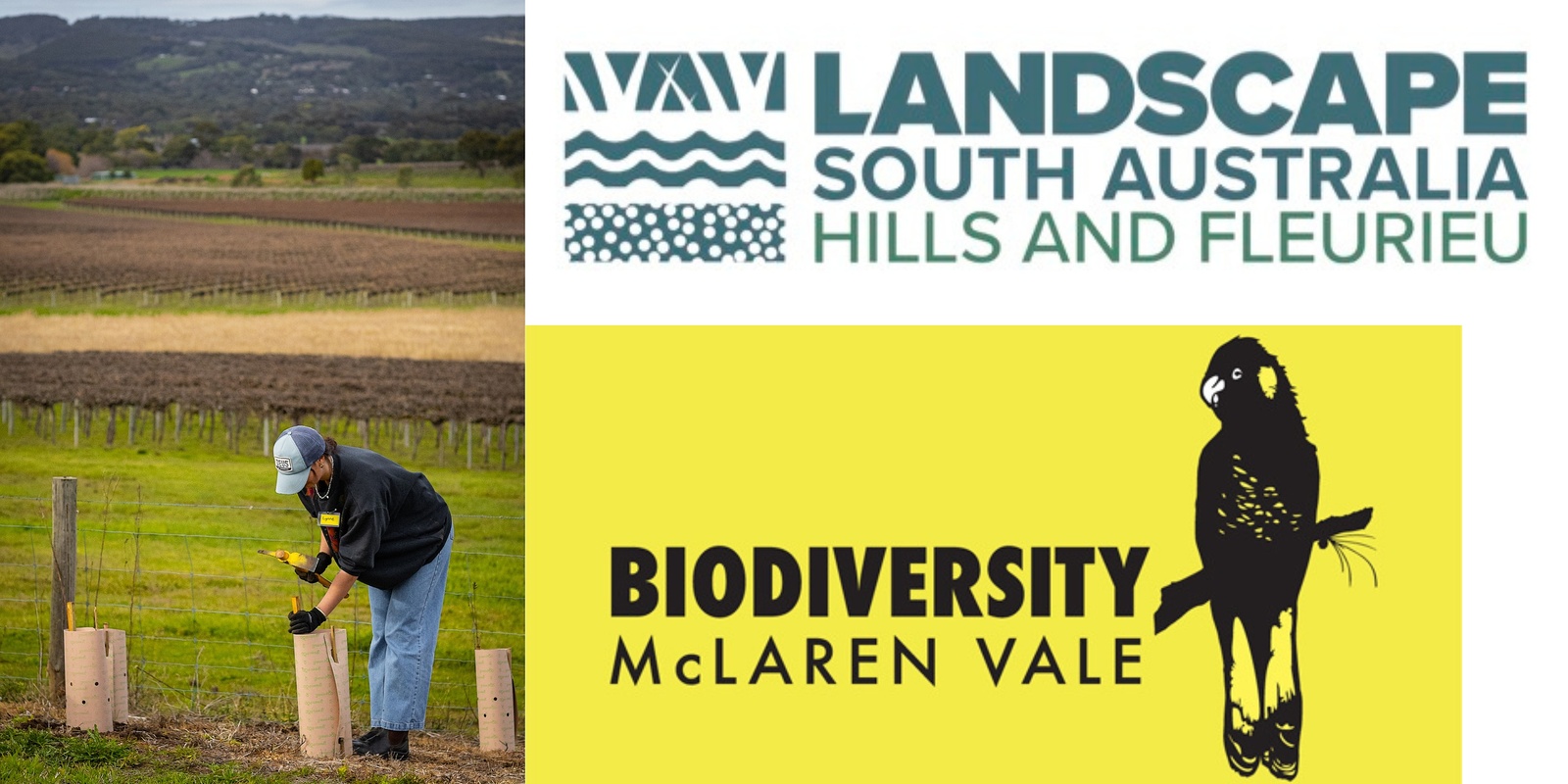 Banner image for Revegetation – Planning for Success, with Landscape SA Hills and Fleurieu, and Biodiversity McLaren Vale