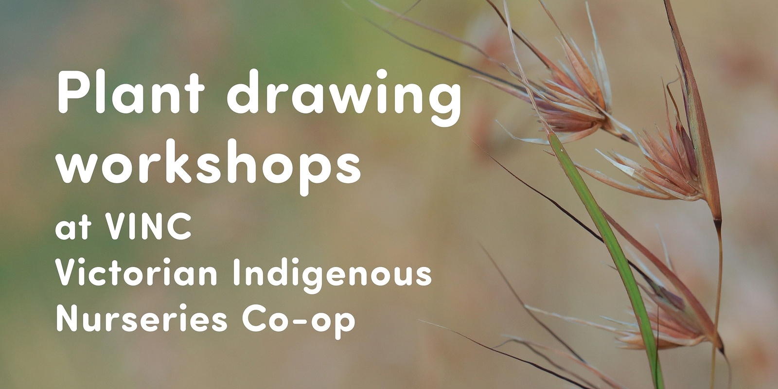 Banner image for Saturday plant drawing workshops 🌿 VINC