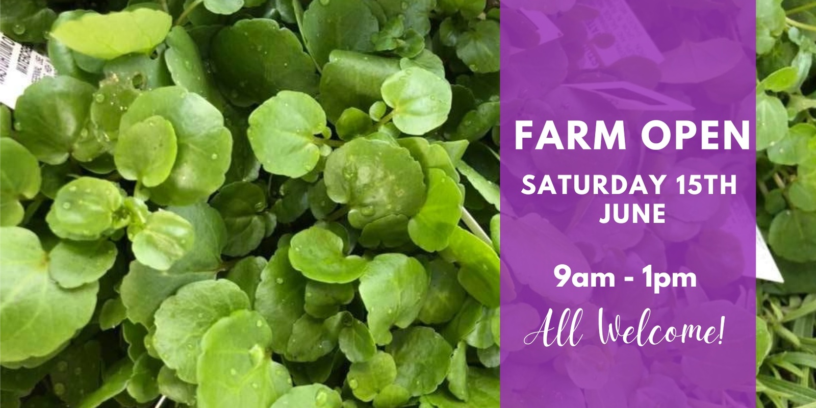 Banner image for Basilea Farm Open Day 