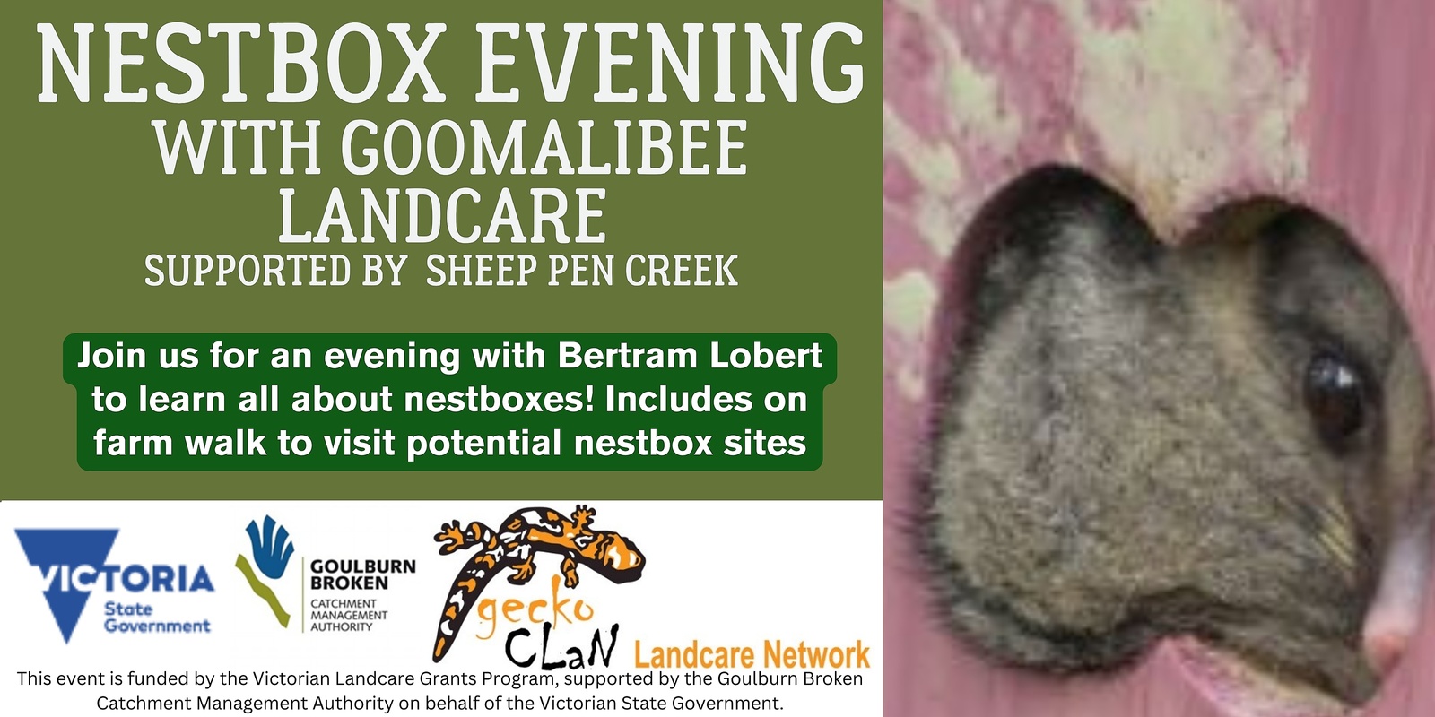 Banner image for Nestbox presentation evening with Goomalibee landcare supported by Sheep pen creek  