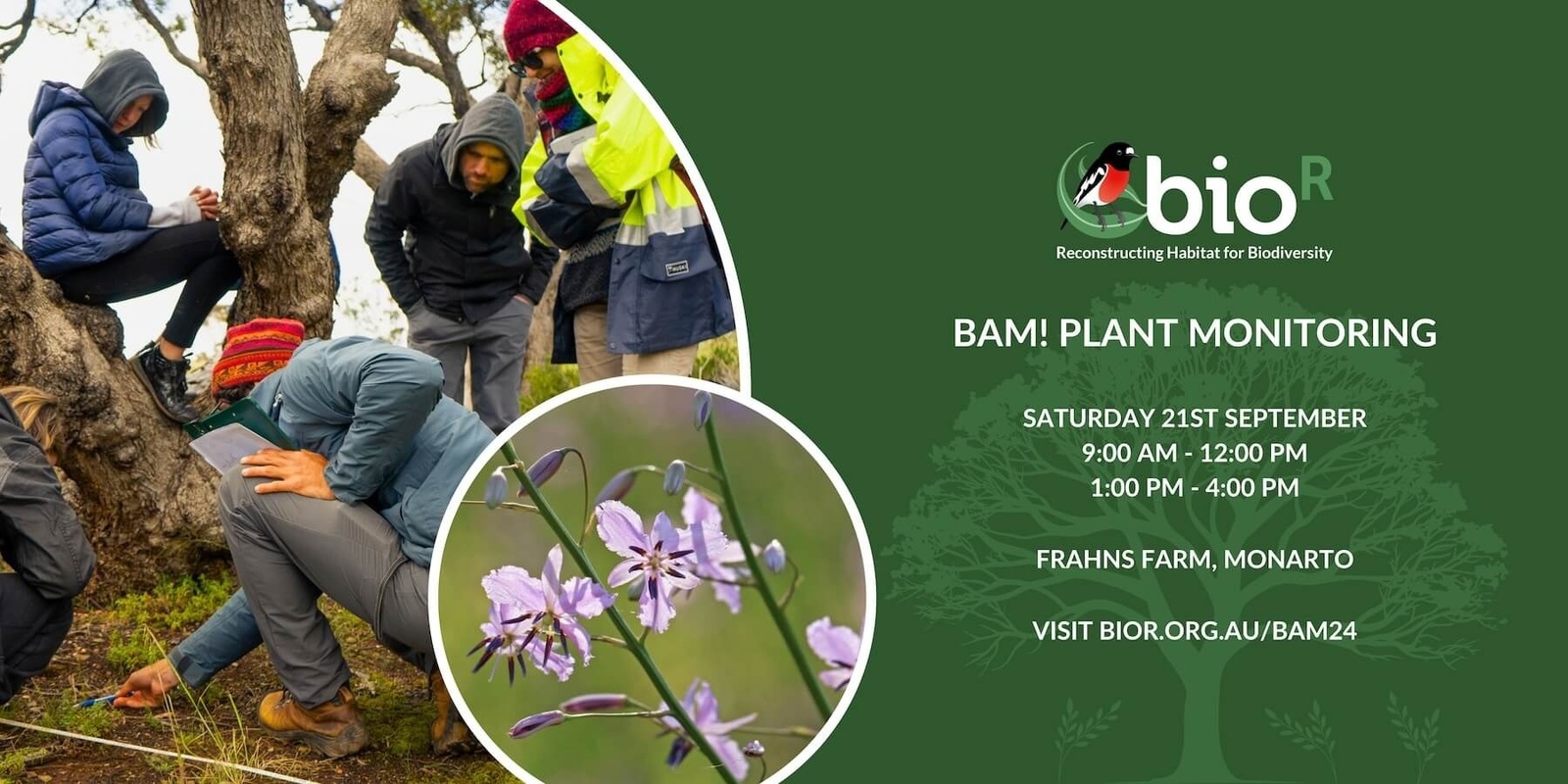 Banner image for BAM! Plant Monitoring at Frahns Farm 2024