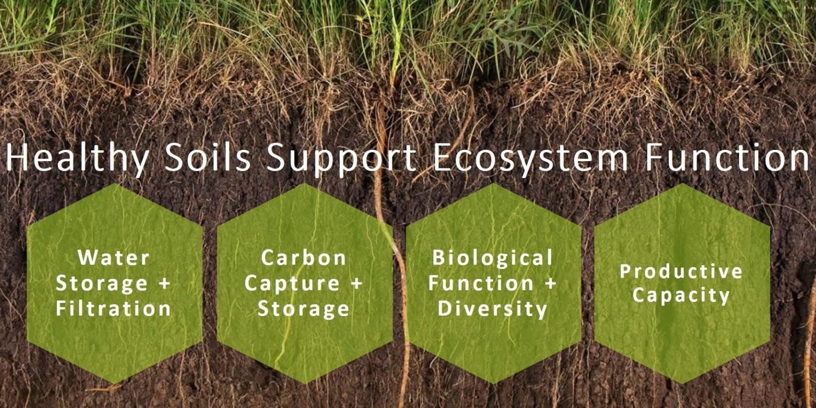 Banner image for Soil Care workshop