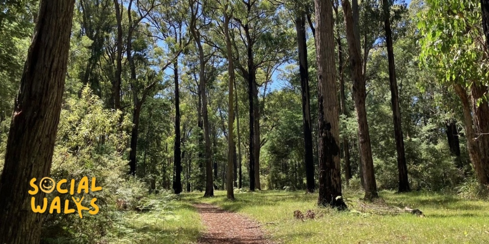 Banner image for Melbourne Social Walks - Silvan Reservoir Track Nature Trail + *Optional Tessalaar Tulip Festival (Ticket Price not included) - Easy 7km