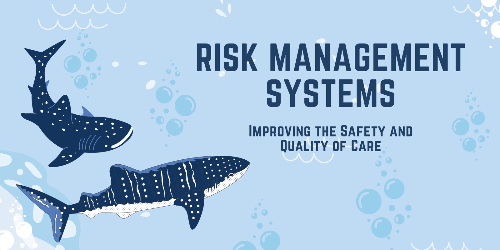 Banner image for Risk Management Systems