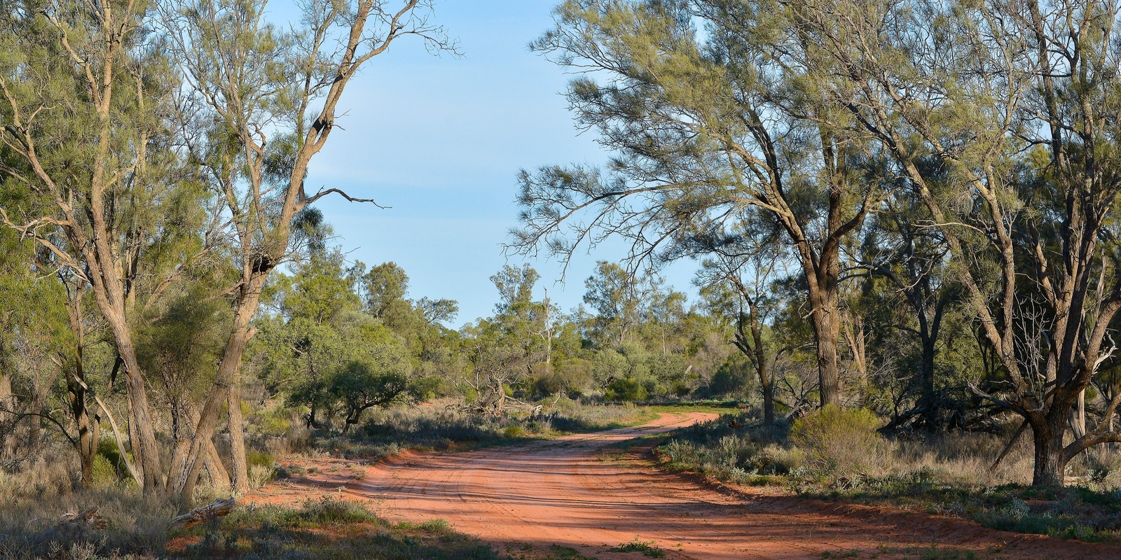 Banner image for Mallee Cliffs Tag-Along Tour: April 2024