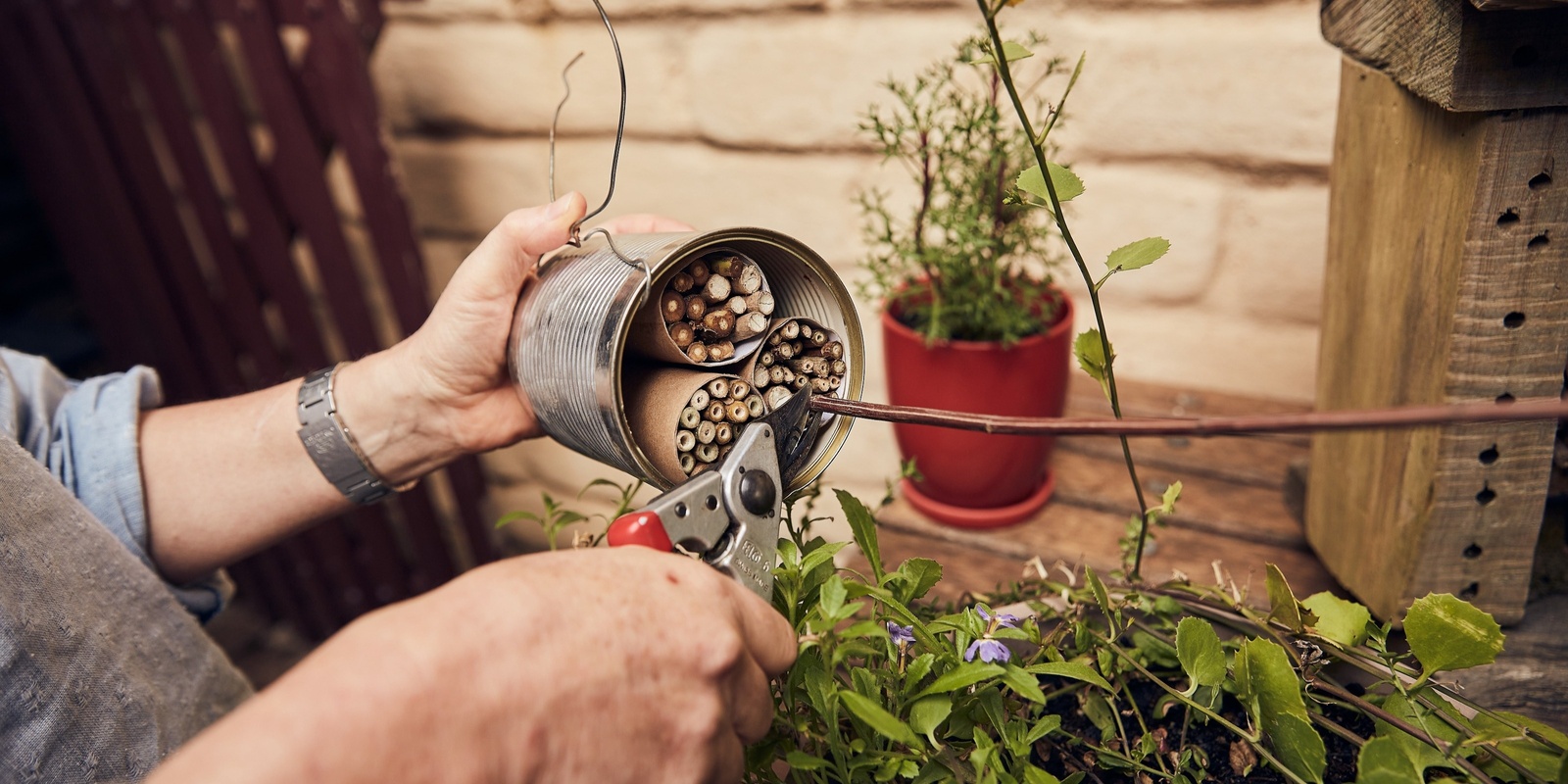 Banner image for Bee Hotels & Native Bees