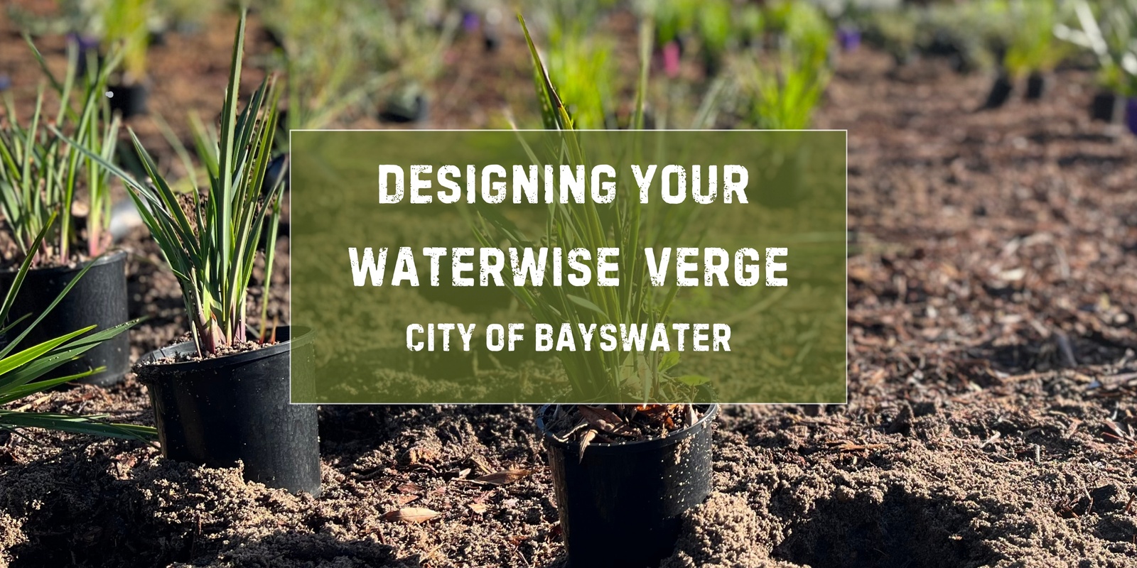 Banner image for Designing Your Waterwise Verge for City of Bayswater Residents