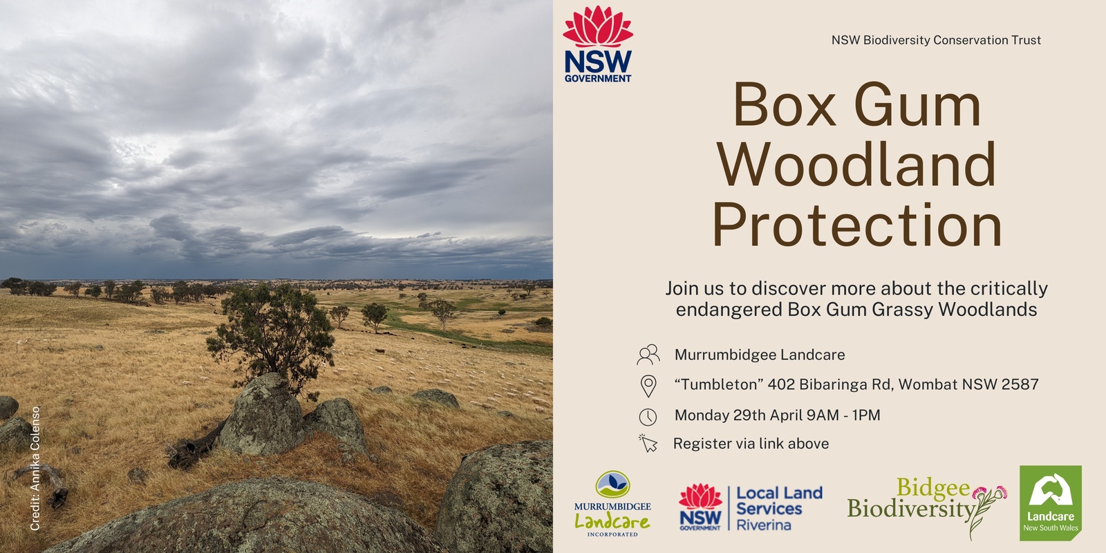 Banner image for Box Gum Woodland Protection