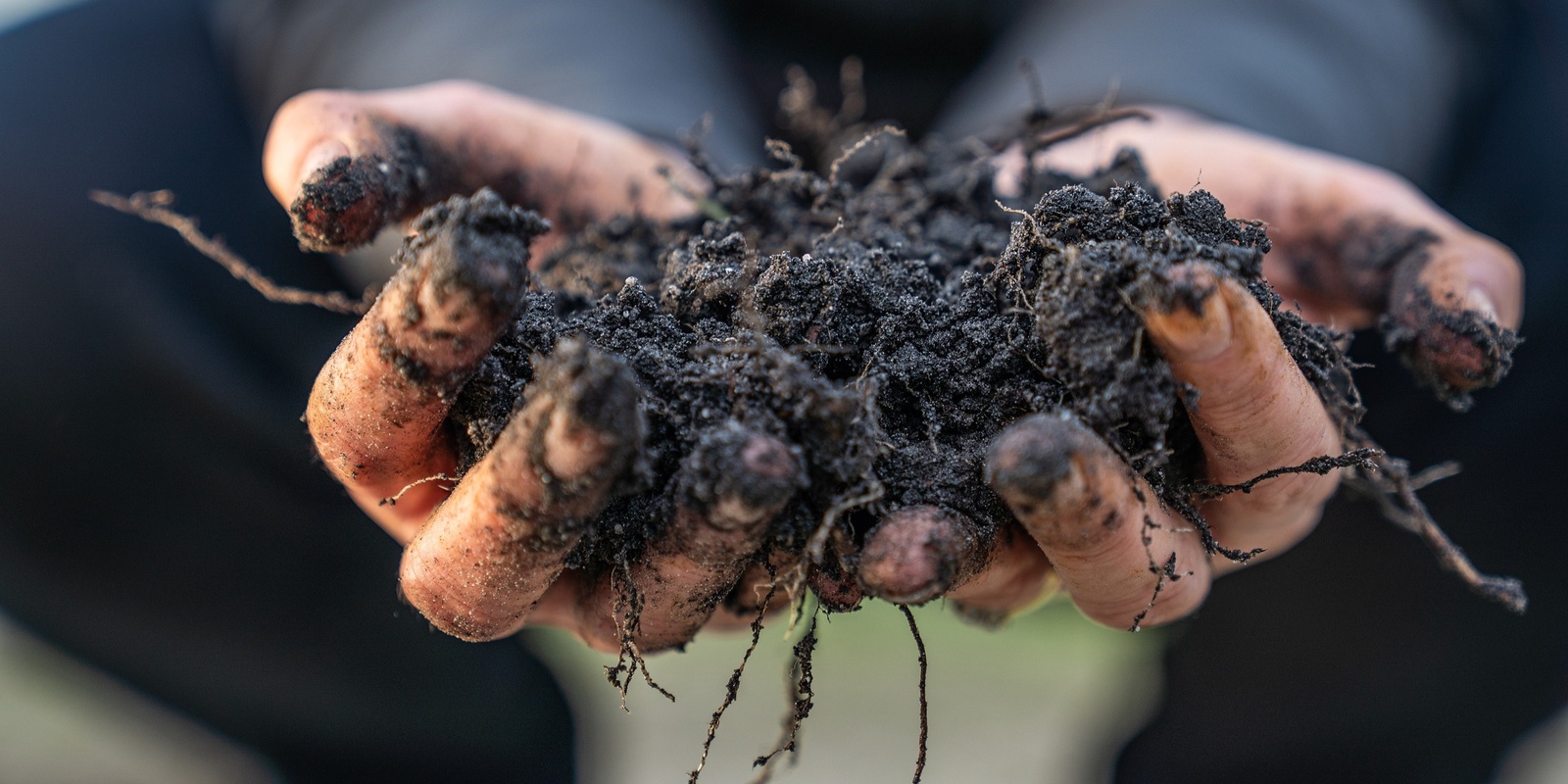 Banner image for Introduction to Carbon Farming (Millicent)