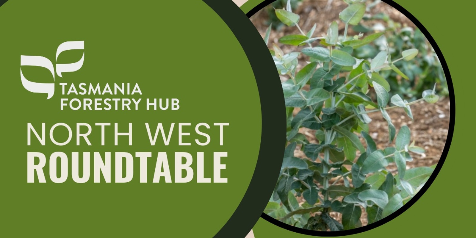 Banner image for Tasmania Forestry Hub Regional Roundtable - North West