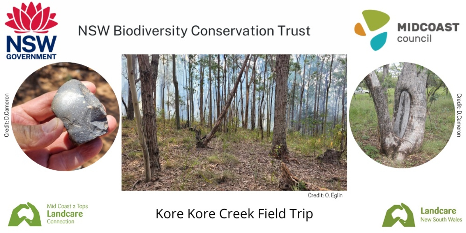 Banner image for Kore Kore Creek Field Trip 