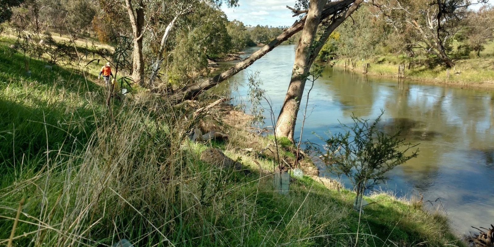 Banner image for Padman Park Community Stewardship Morning