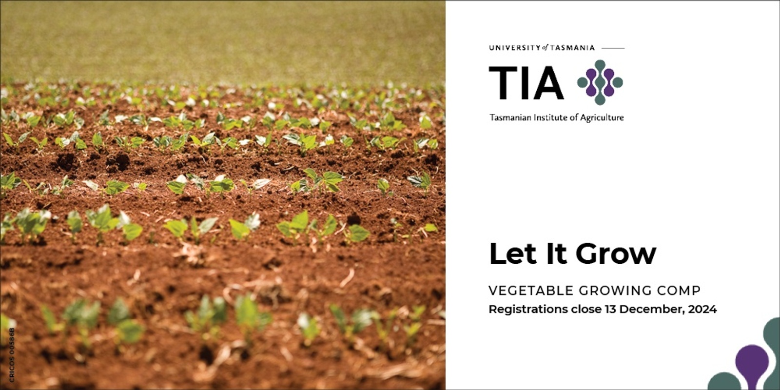 Banner image for Let it Grow: TIA's veggie growing comp for Agfest 2025 and Soil Your Undies Challenge