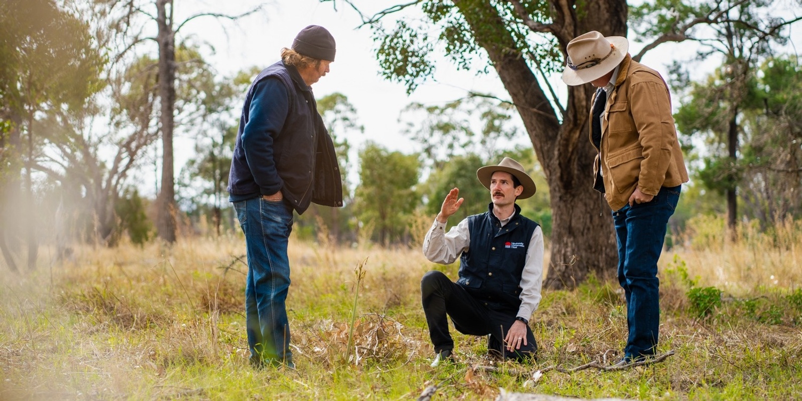 Banner image for Liverpool Plains Cracking Clays conservation tender Mullaley information session