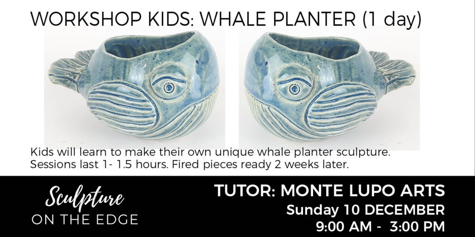 Banner image for WORKSHOP KIDS: Whale Planter with Monte Lupo Sunday 10 December