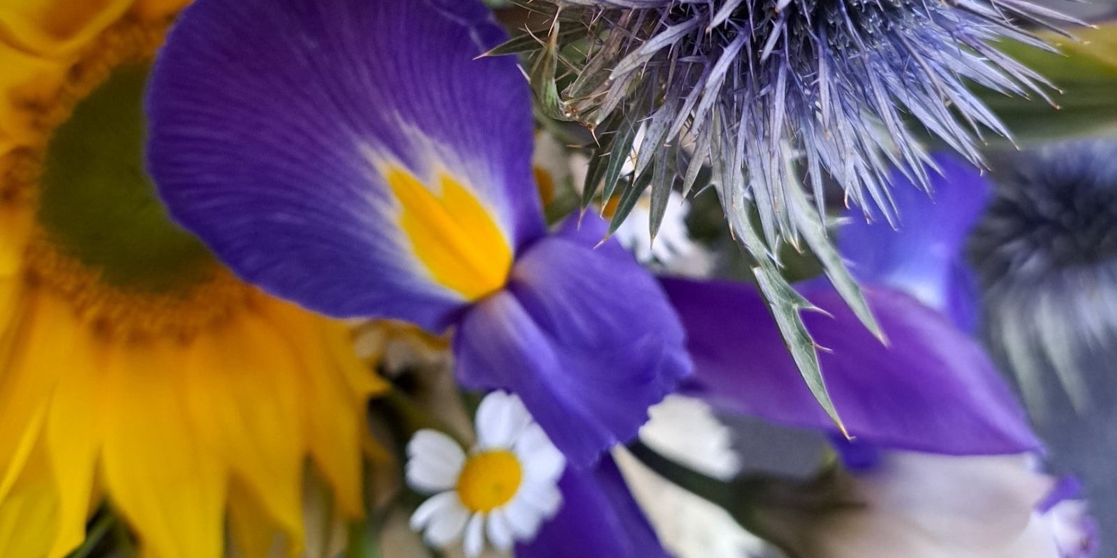 Banner image for Floral Sound Bath Experience