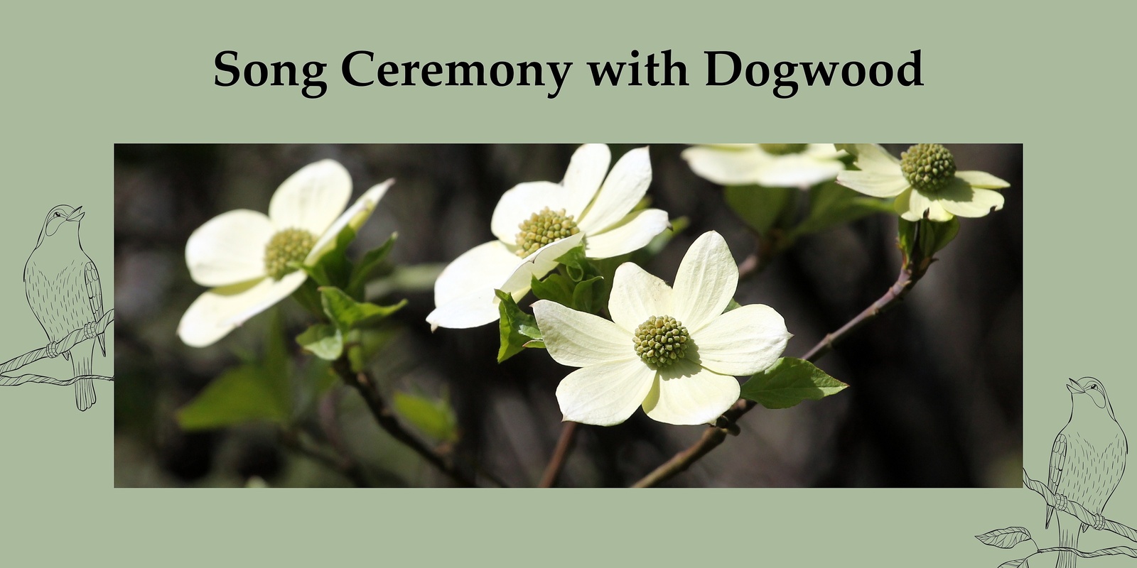 Banner image for Song Ceremony with Dogwood