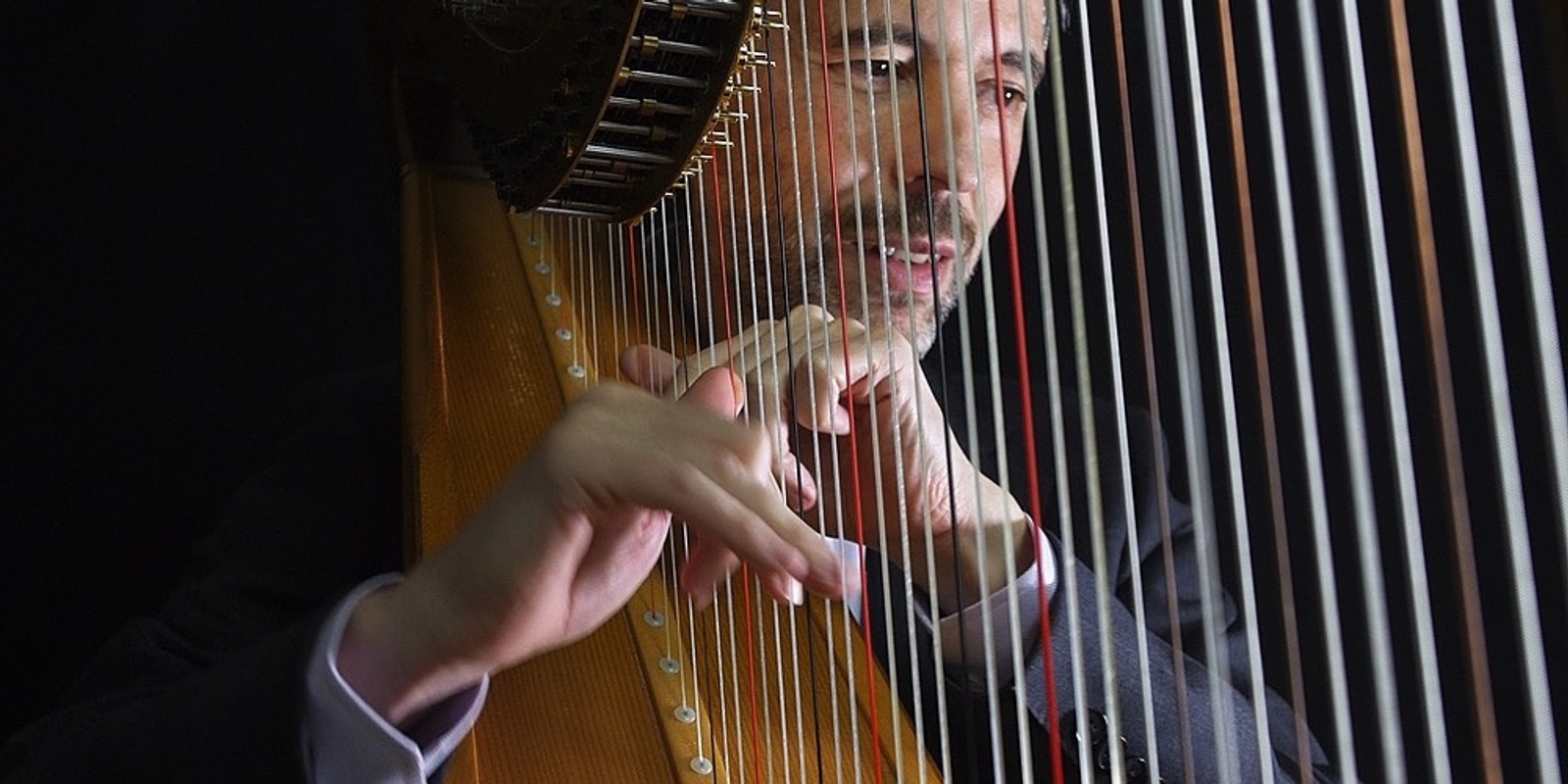 Banner image for Harp Fest New Zealand | Concert with Josh Layne