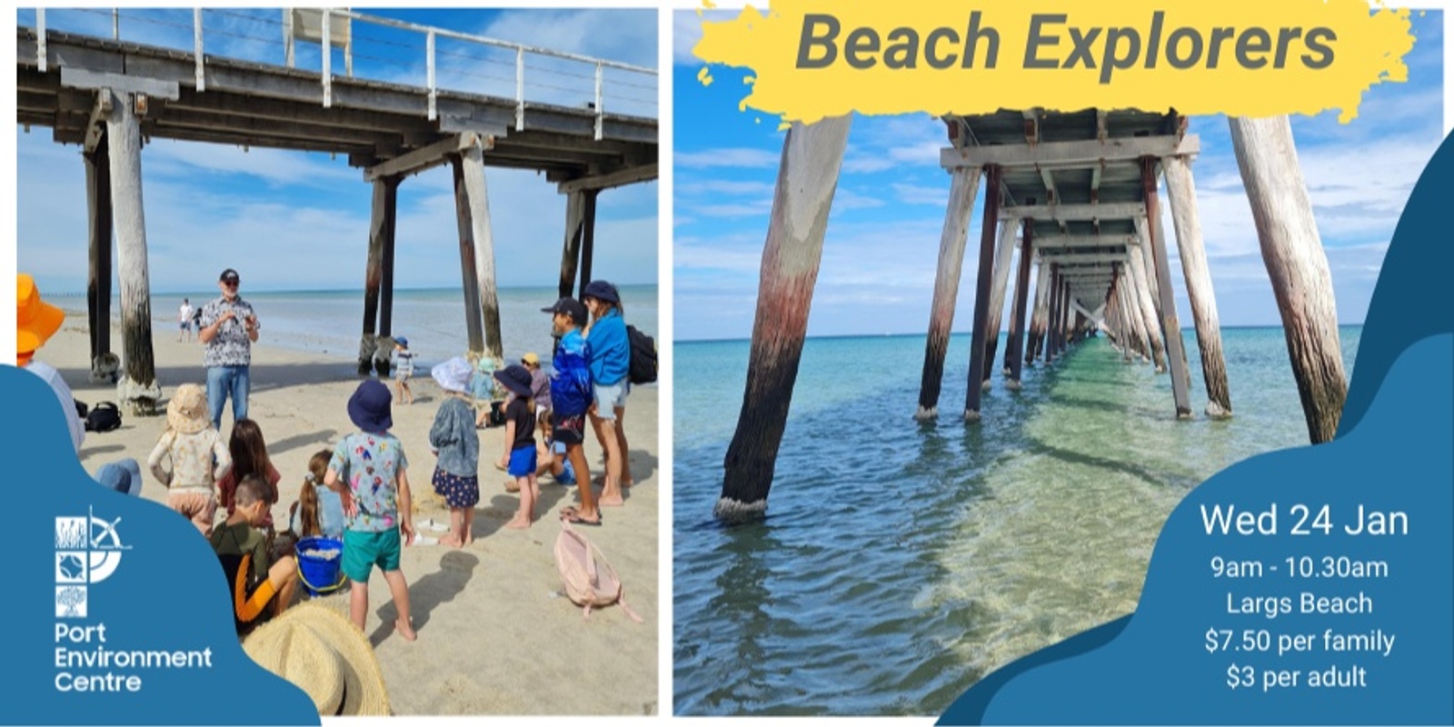Banner image for January School Holidays Beach Explorers