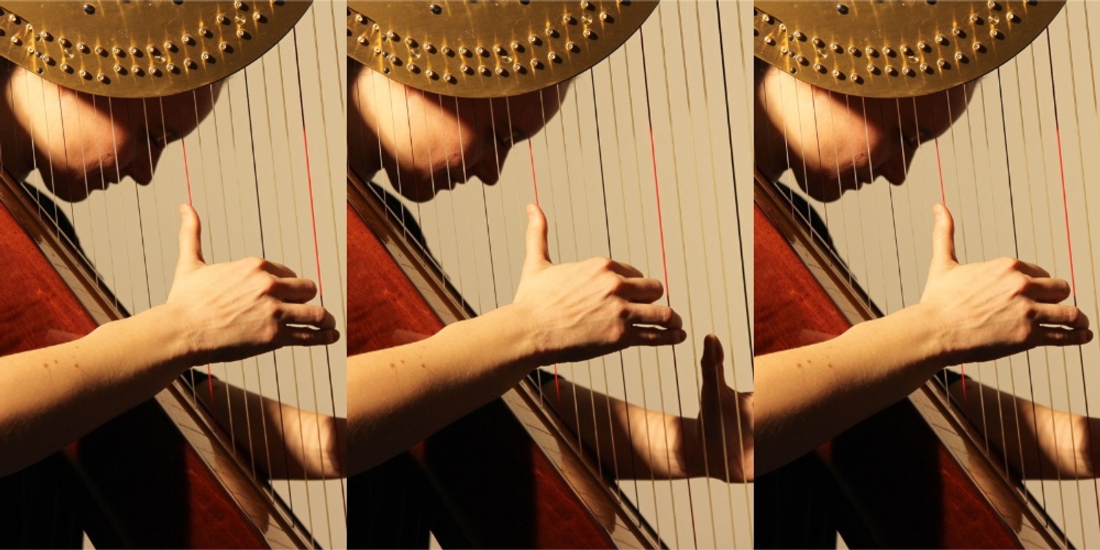 Banner image for Esther Swift Harp Workshop Sale Victoria November 23rd 2024