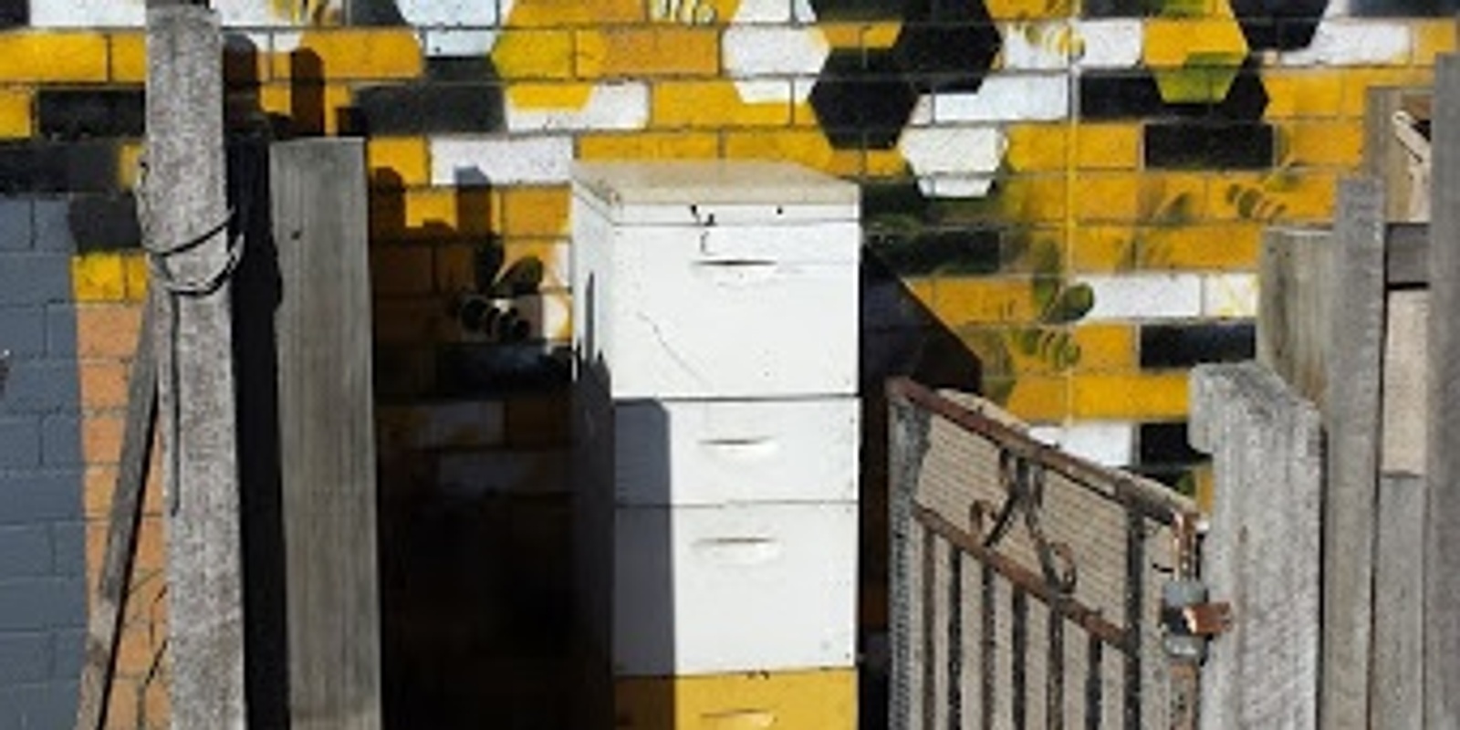 Banner image for Backyard Beekeeping with Melbourne City Rooftop Honey and Transition 3081