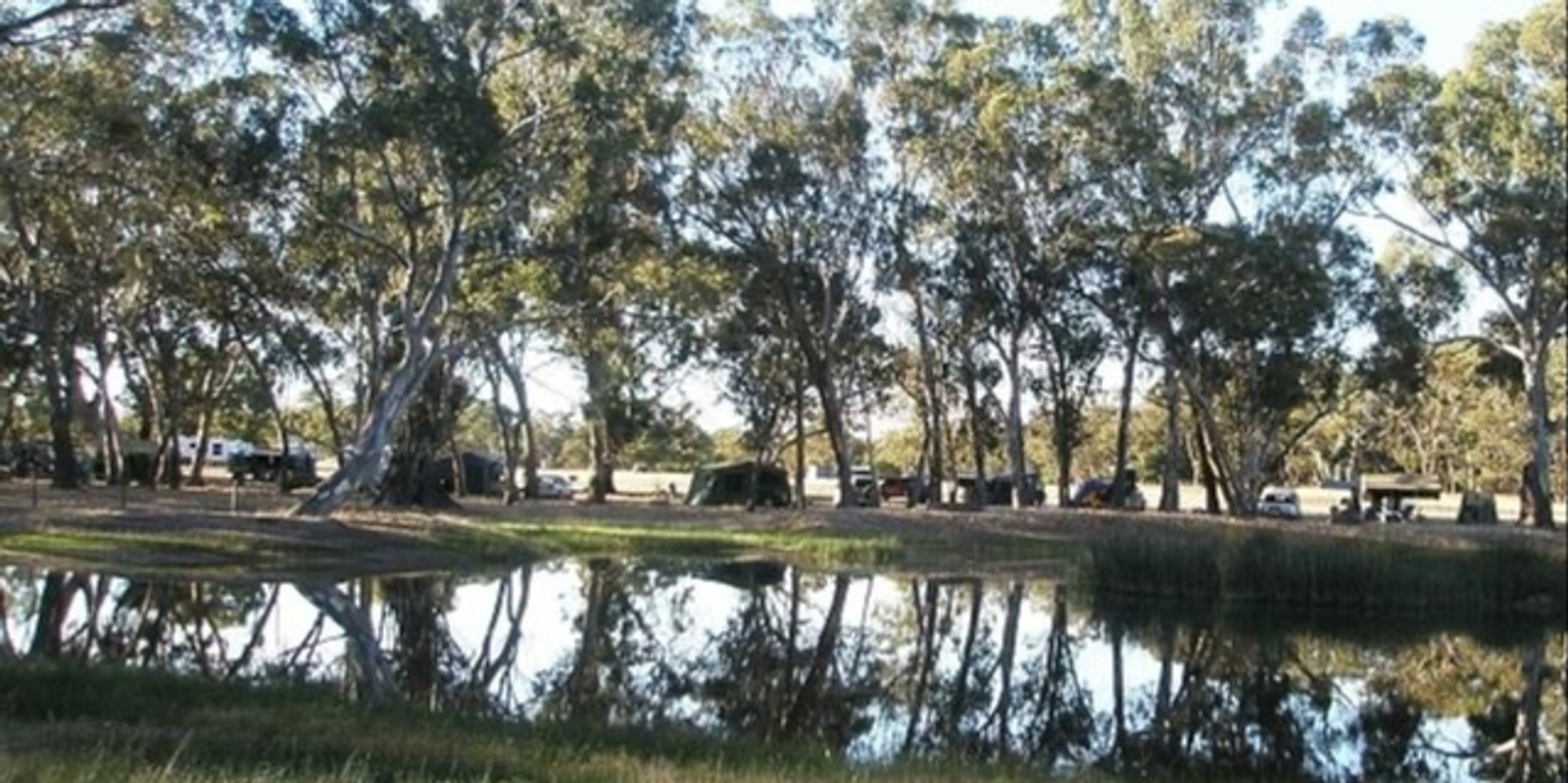 Banner image for Black Cockatoo Bush Camp Guided Walk 