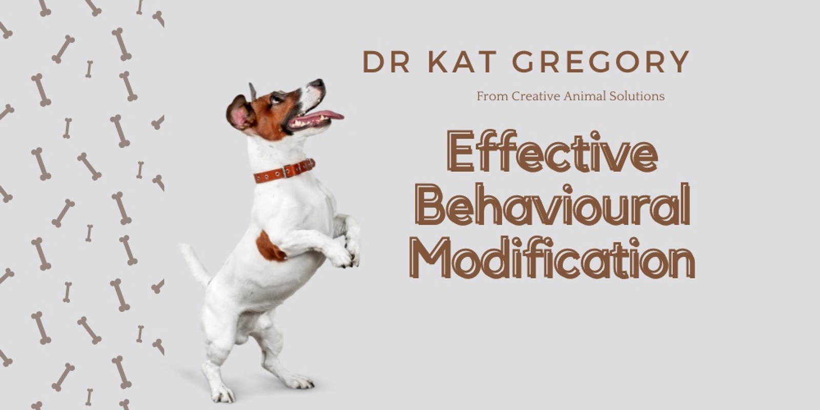 Banner image for Effective Behavioural Modification