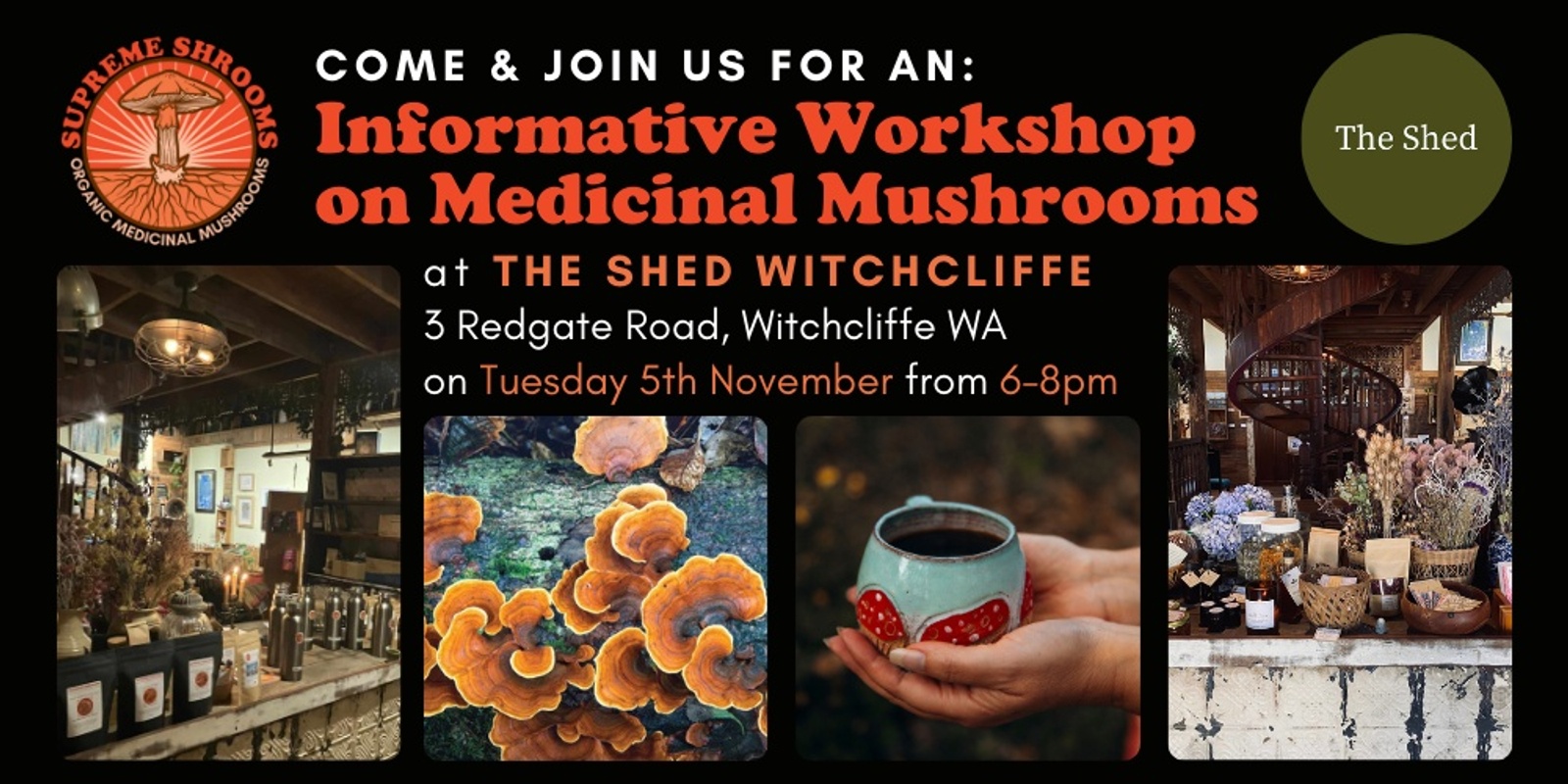 Banner image for Medicinal Mushrooms Workshop in Witchcliffe