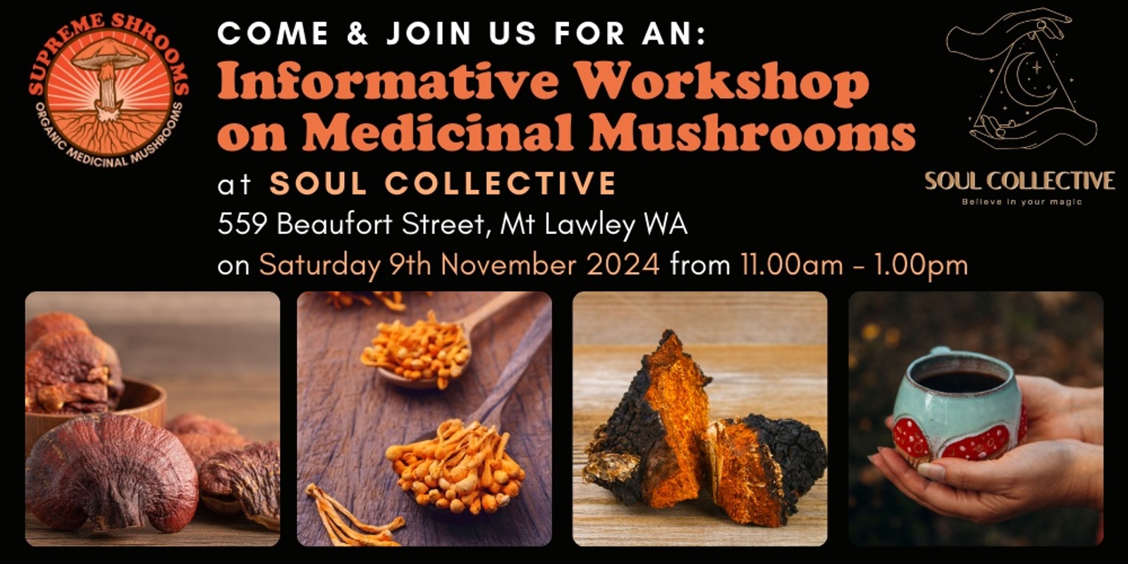 Banner image for Medicinal Mushrooms Workshop Soul Collective Mt Lawley