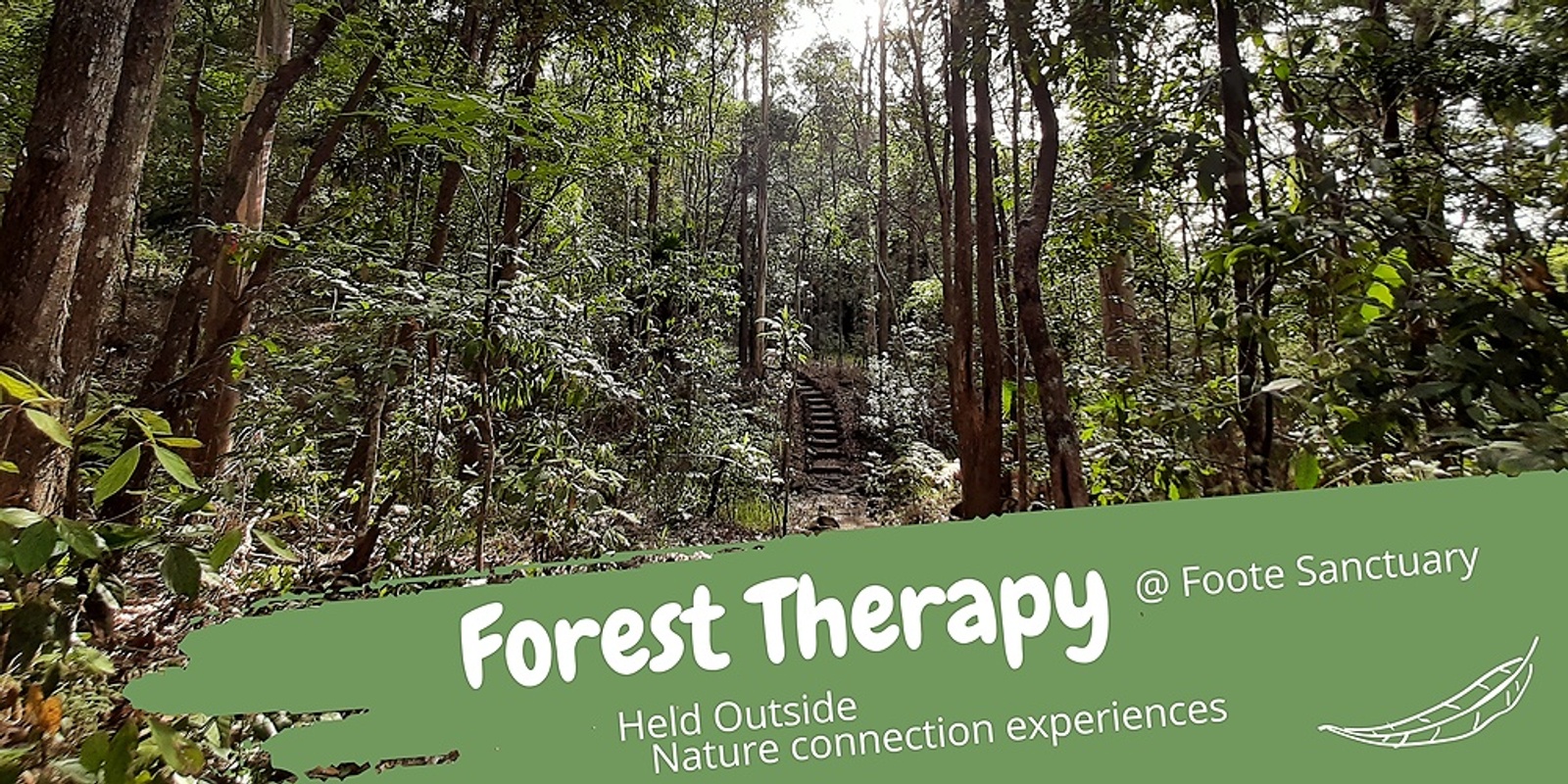 Forest Therapy at Foote Sanctuary 2 Sep 23