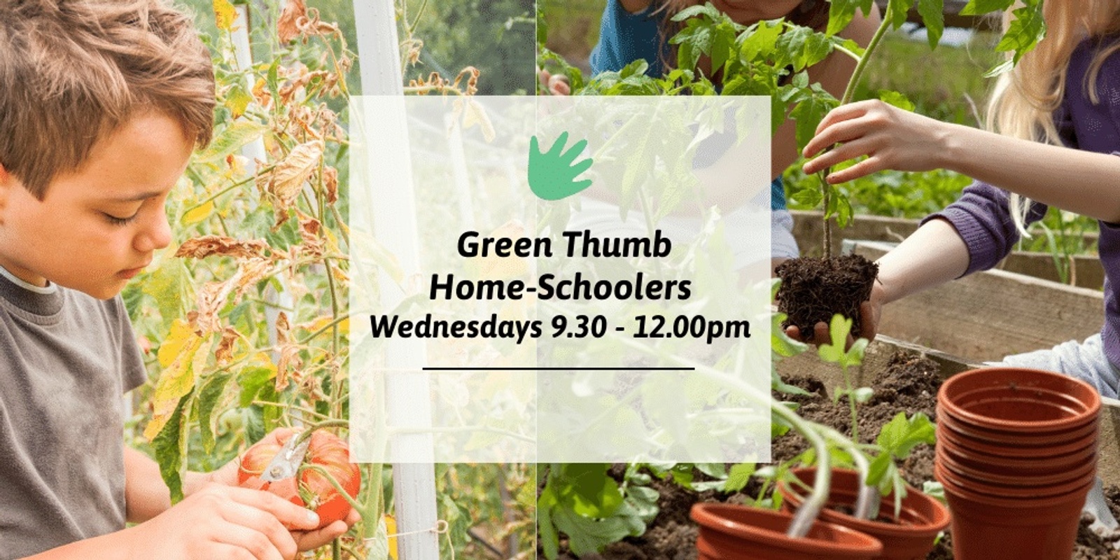 Banner image for Green Thumb Home-schoolers - Term 2