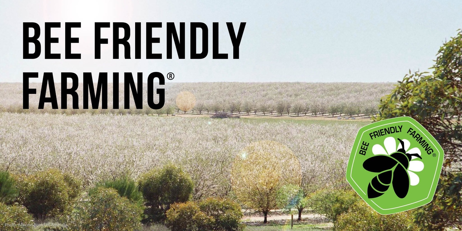 Banner image for Bee Friendly Farming: The role of bees in Australian food production systems