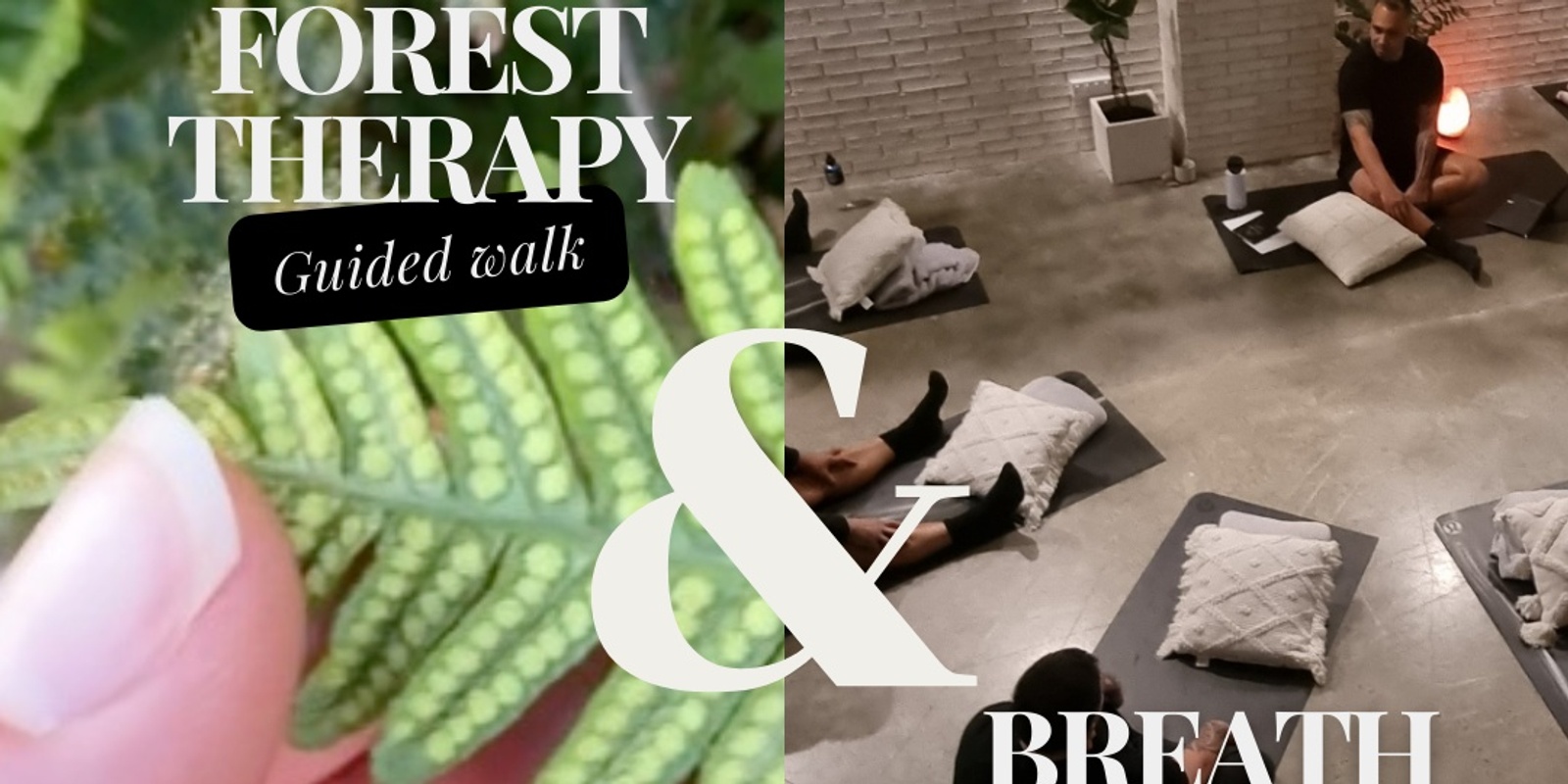 Banner image for Forest Therapy & Breathwork 