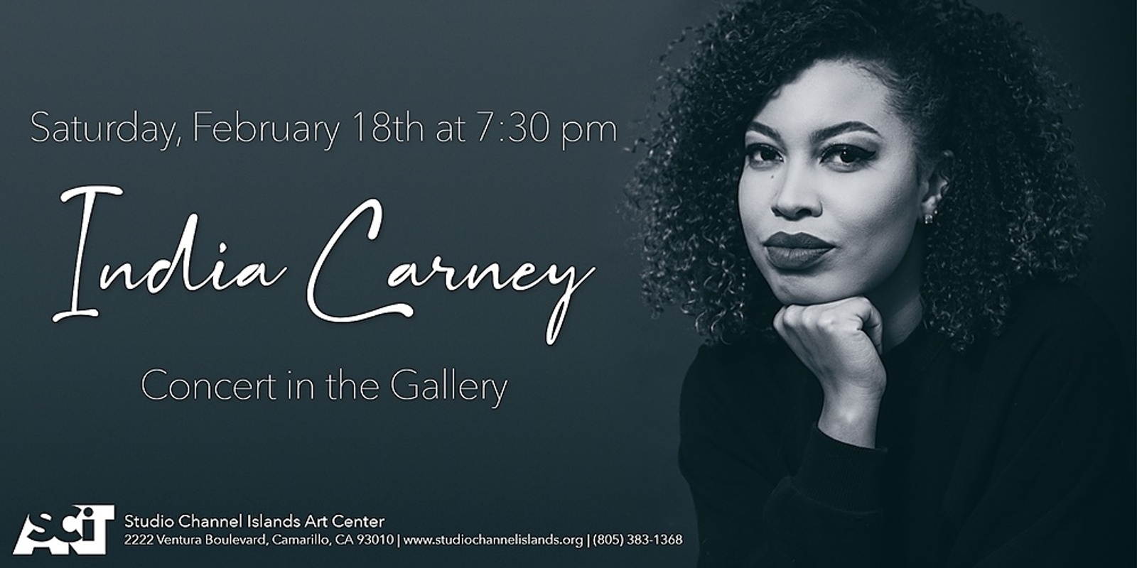 Banner image for Concert in the Gallery: India Carney