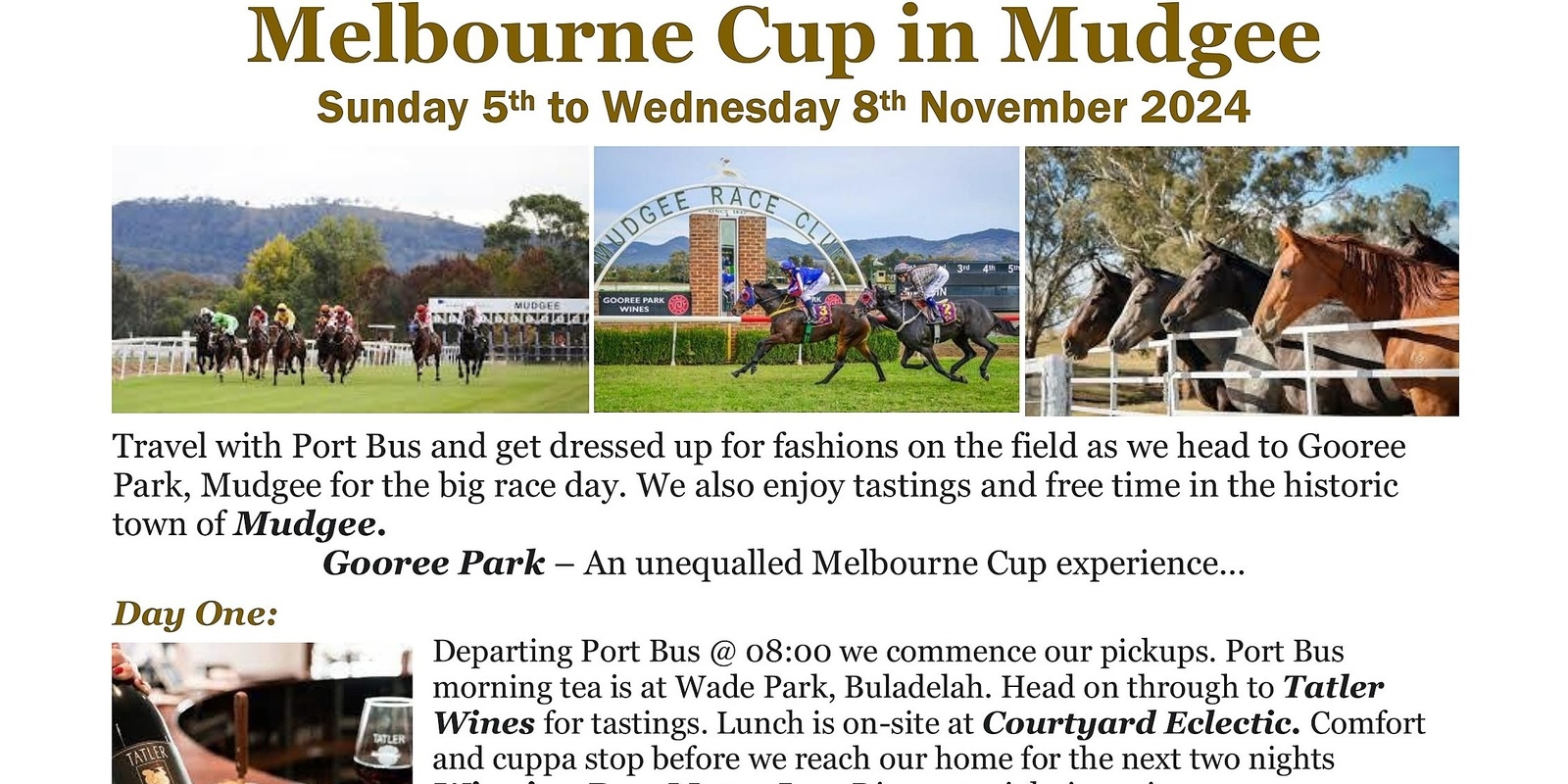 Banner image for Melbourne Cup in Mudgee